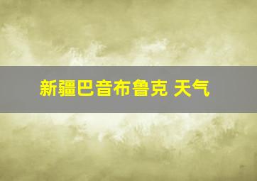 新疆巴音布鲁克 天气